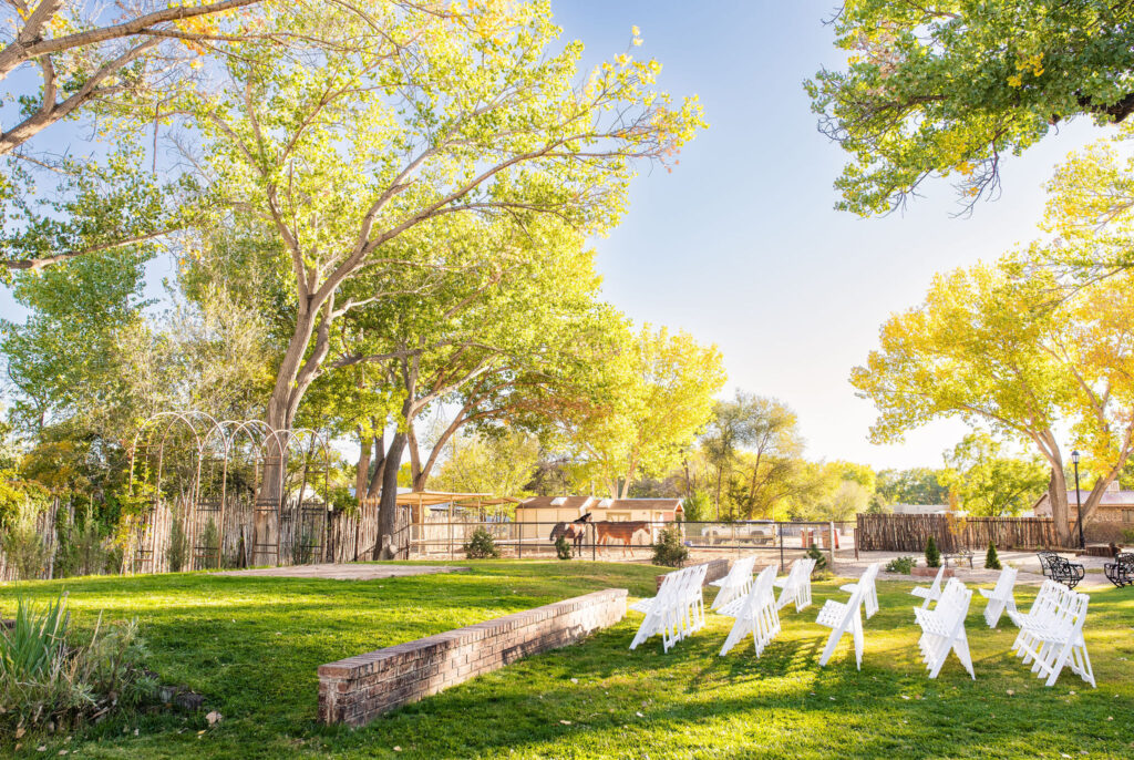 outdoor reception with horses in background